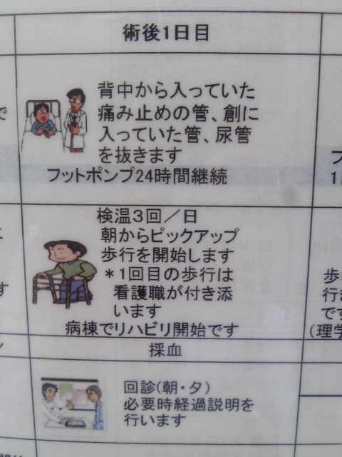 1%E6%97%A5%E7%9B%AE%20-%20%E3%82%B3%E3%83%94%E3%83%BC.jpg